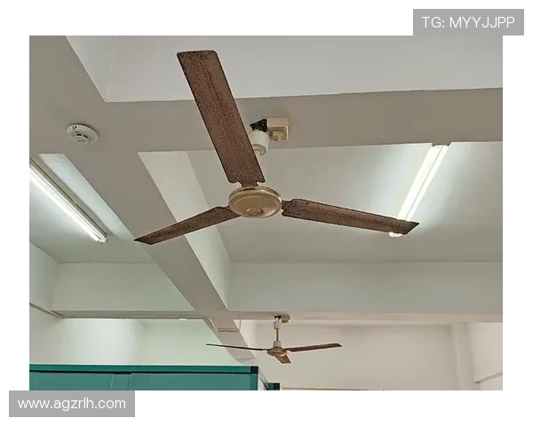 凯发k8国际平台最新优惠活动不断，丰富的游戏种类满足不同玩家的需求，享受极致娱乐享受