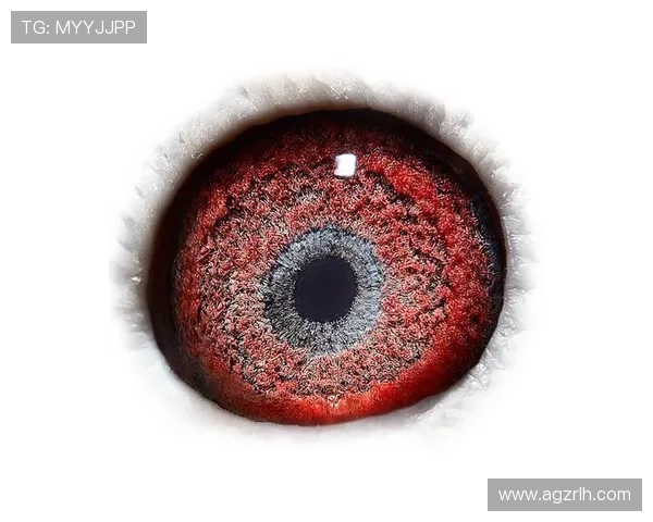 提供多种AG国际手机登录方式,确保每位玩家都能找到适合自己的快速登录途径 提供多种AG国际手机登录方式,确保每位玩家都能找到适合自己的快速登录途径