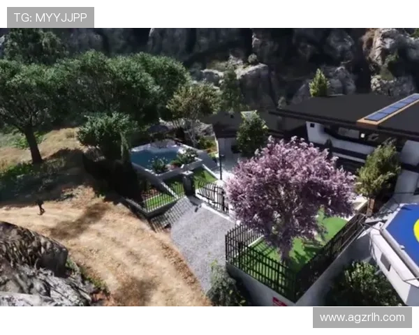 开云真人娱乐官网不断引入国际最新的游戏项目，满足全球玩家的多样需求