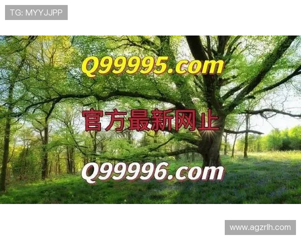 可信赖的ag真人直营官网平台，严格遵守行业法规为玩家创造安全的游戏平台环境