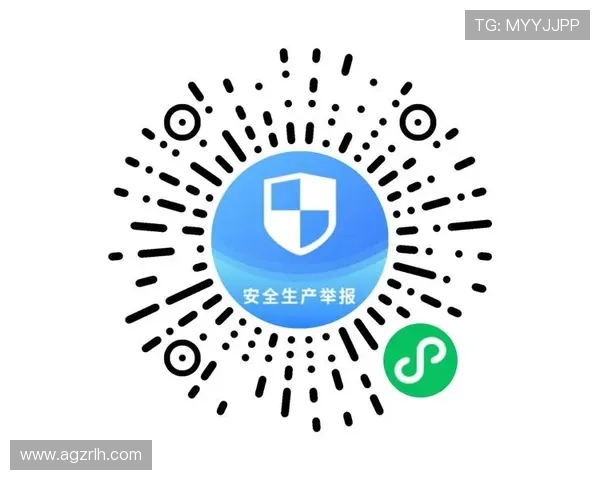 ag恒峰网站最新安全登录入口，保障您的账户信息安全与隐私