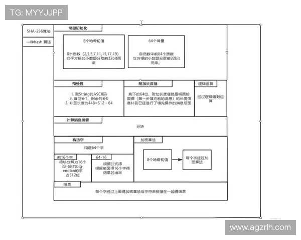 全面解析PA游戏官网官方平台的注册流程与账号安全保障措施 全面解析PA游戏官网官方平台的注册流程与账号安全保障措施