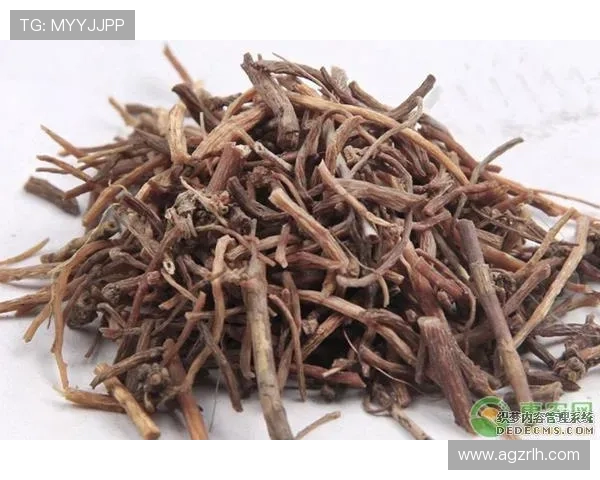 凯发旗舰厅网站官网安全保障措施全面，保障玩家资金与信息安全